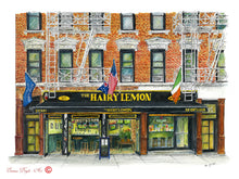 Load image into Gallery viewer, Irish Bar Print - The Hairy Lemon, NYC, USA