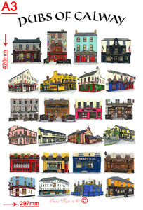 Pubs Of Galway Poster