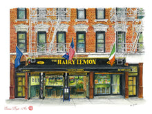 Load image into Gallery viewer, Irish Bar Print - The Hairy Lemon, NYC, USA
